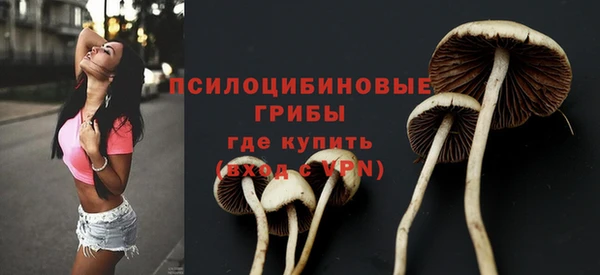 бошки Богданович