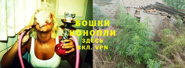 бошки Богданович