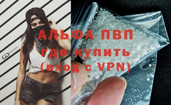 бошки Богданович